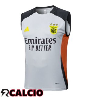 Canotta Allenamento S.L Benfica Grigio 2025/2026