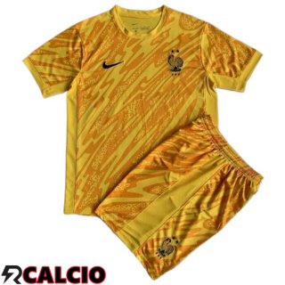 Maglie Calcio Francia Bambino Portiere Giallo UEFA Euro 2024