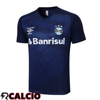 T Shirt Allenamento Gremio Blu Reale 2023/2024