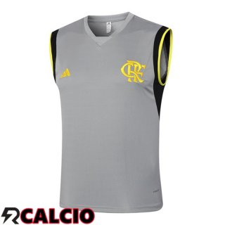 Canotta Allenamento Flamengo Grigio 2024/2025