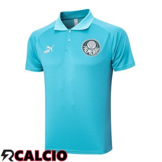 Maglia Polo Palmeiras Verde 2023/2024