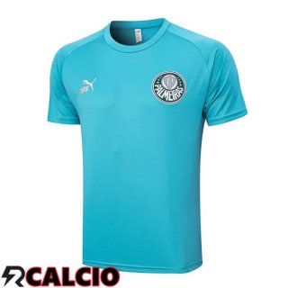 T Shirt Allenamento Palmeiras Cyan 2023/2024