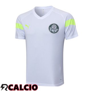 T Shirt Allenamento Palmeiras Bianco 2023/2024