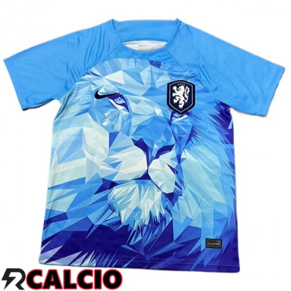 Maglie Calcio Paesi Bassi Edizione Speciale Blu 2024/2025