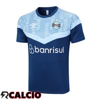 T Shirt Allenamento Gremio Blu 2023/2024