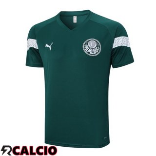 T Shirt Allenamento Palmeiras Verde 2023/2024