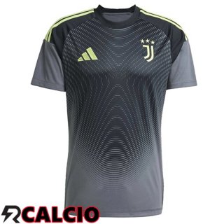Maglia Juventus Portiere Grigio 2025/2026