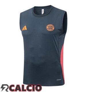Canotta Allenamento Bayern Monaco Grigio 2025/2026