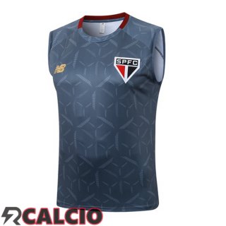 Canotta Allenamento Sao Paulo FC Grigio 2025/2026