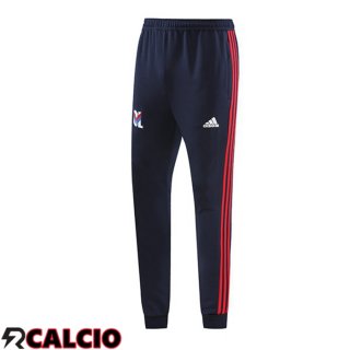 Pantaloni Da Allenamento Lione OL Blu Reale 2023/2024